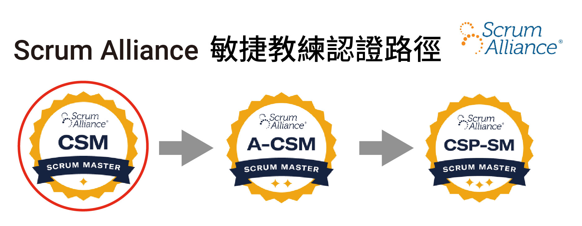 Csm Development Program Scrum Alliance 系列認證